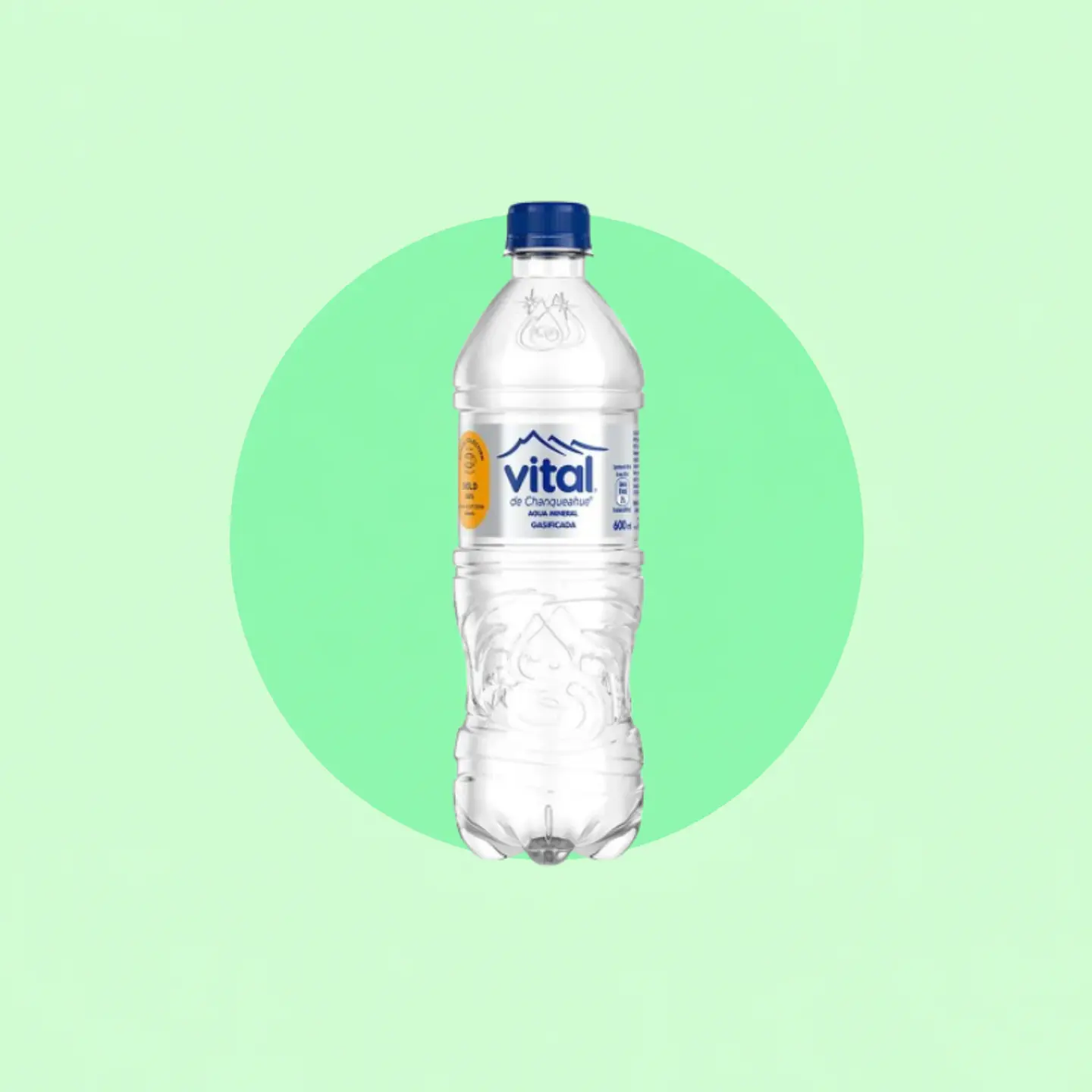 Vital Con Gas 600 ML 1
