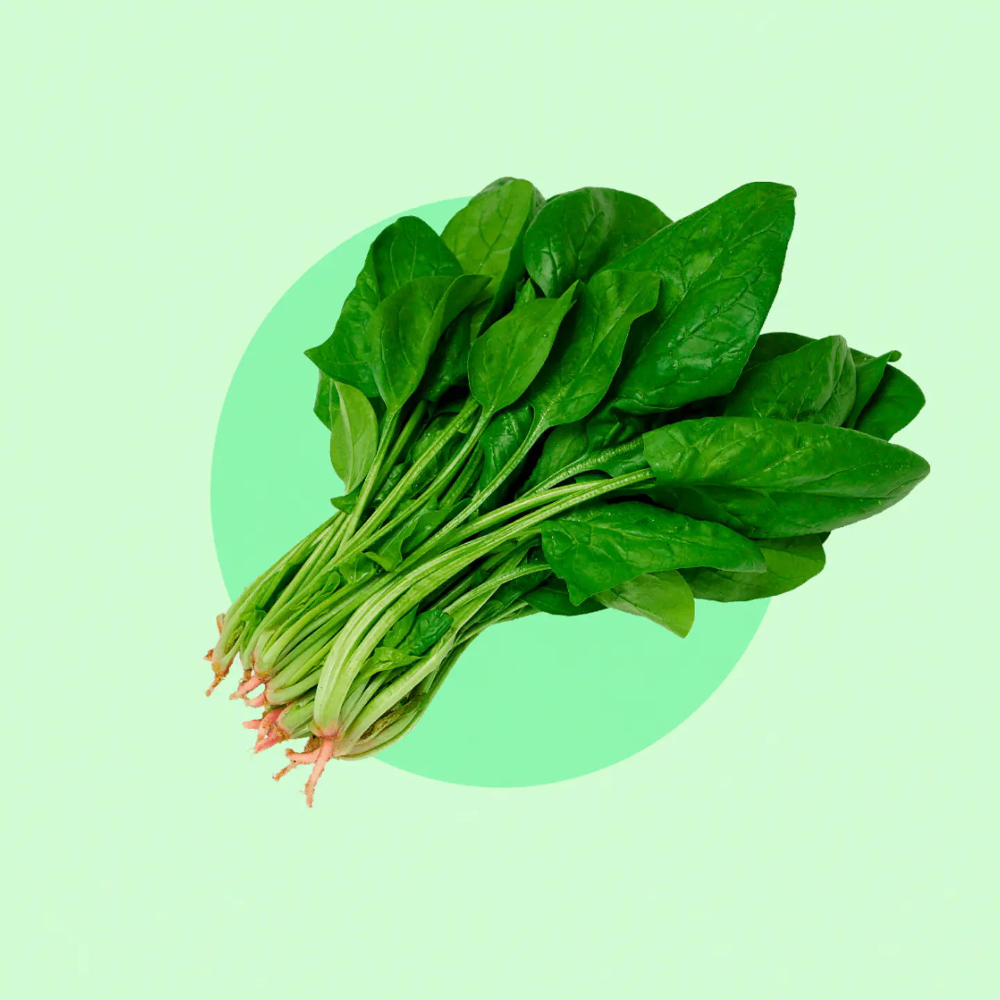 Espinaca 1