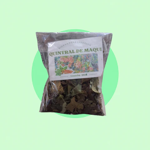 Quintral de Maqui