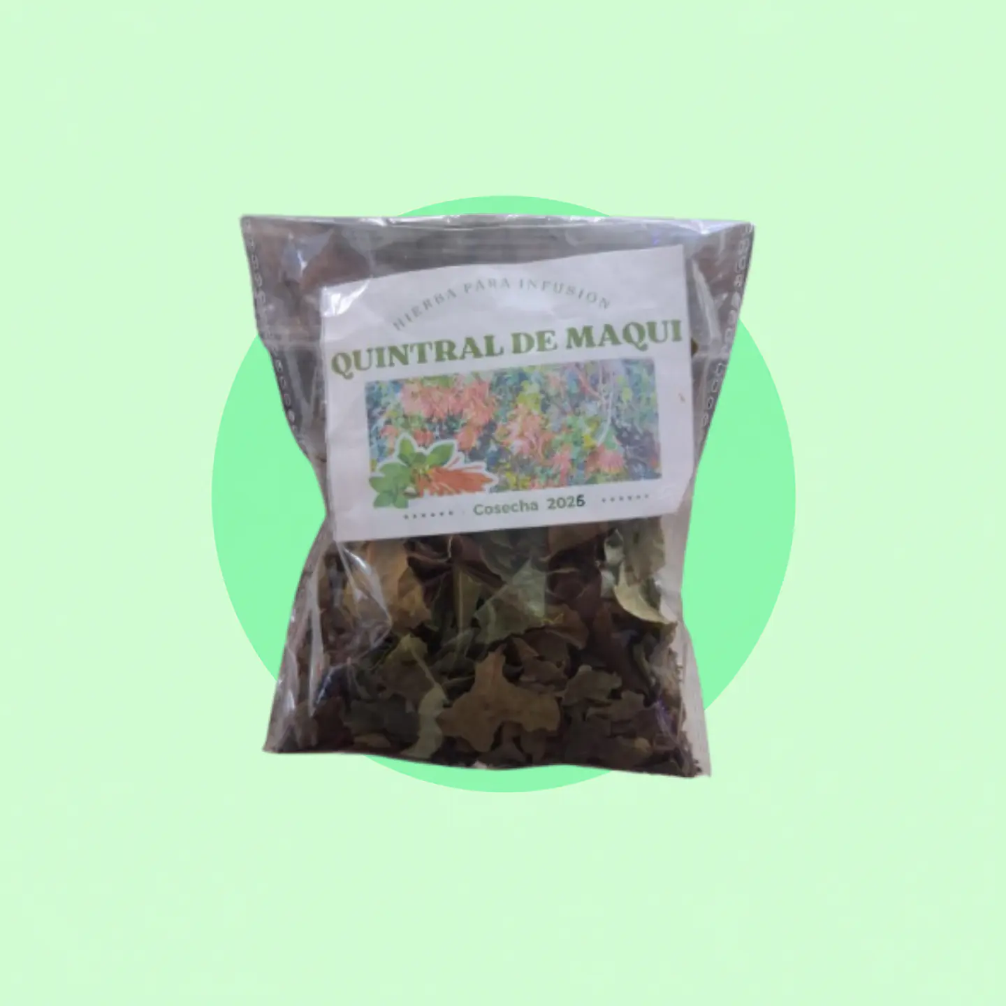 Quintral de Maqui 1