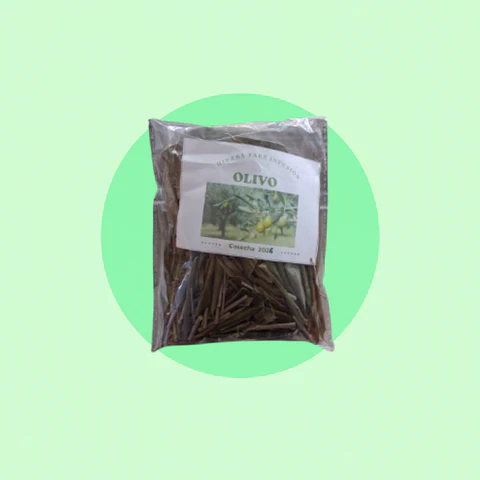Olivo