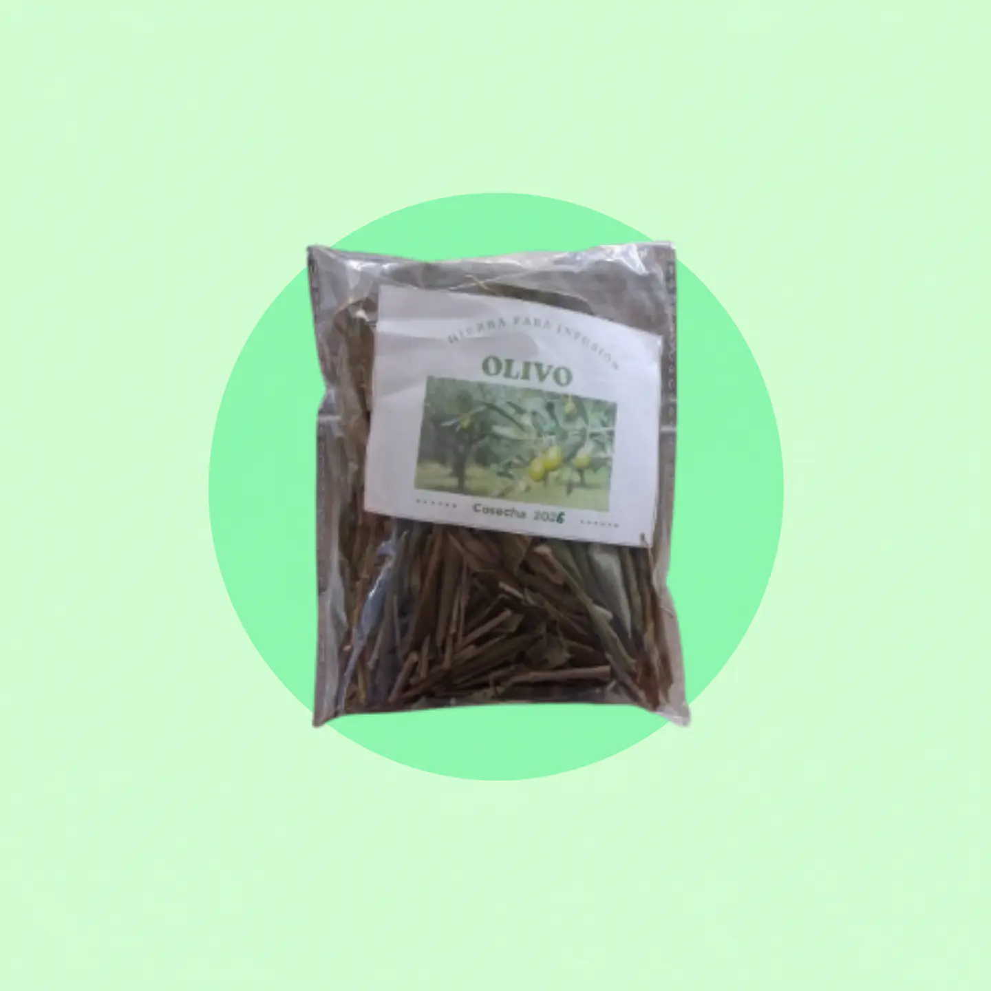 Olivo 1
