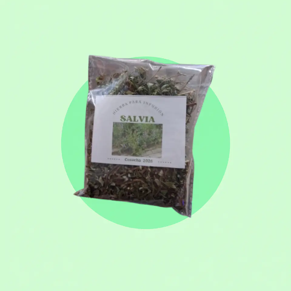 Salvia 1