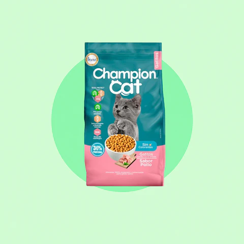 Champion Cat Gatito Kilo