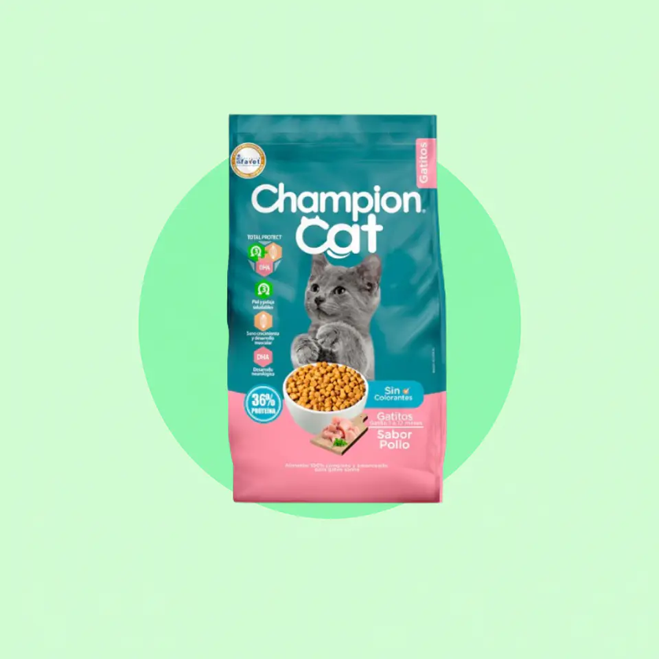 Champion Cat Gatito Kilo 1