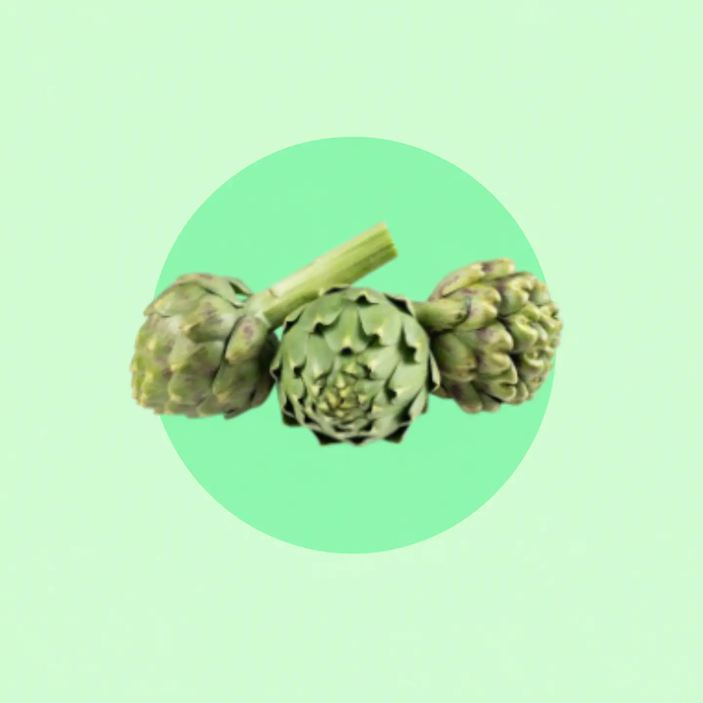 Alcachofa 1