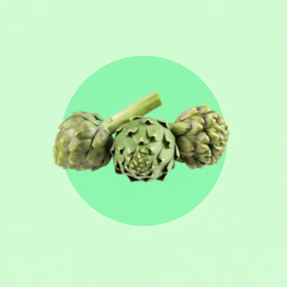 Alcachofa 1