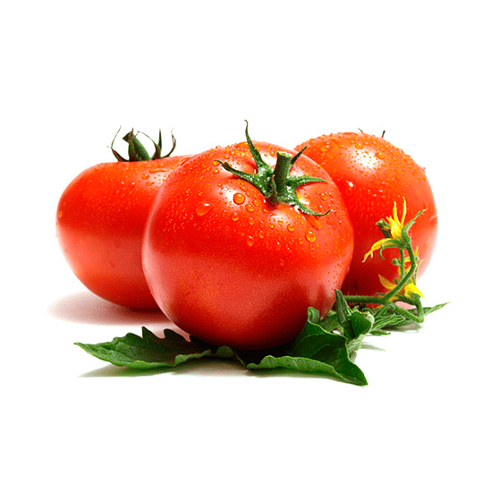  Tomate Milano Kilo