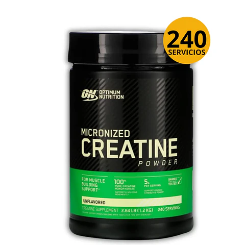 CREATINA ON DE 1200gr - CREATINA MONOHIDRATADA Y MICRONIZADA