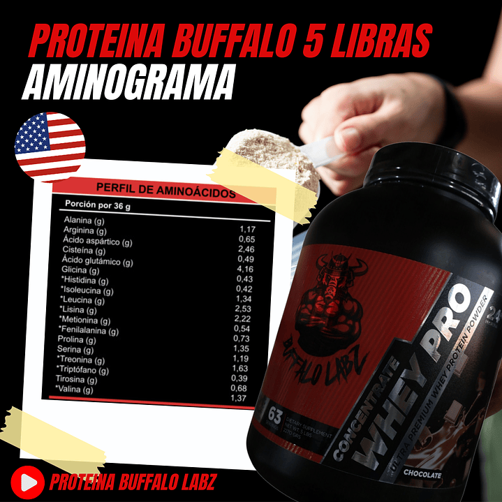 Concentrate Whey Pro Buffalo Labz 5 lb + Creatine 100% monohydrate Buffalo Labz 300gr 3