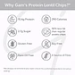 Gams Protein Lentil Chips 65gr - Miniatura 12