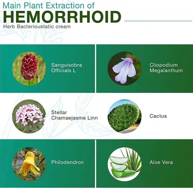 Crema Herbal para hemorroides – Alivio y Confort – 20 g 4