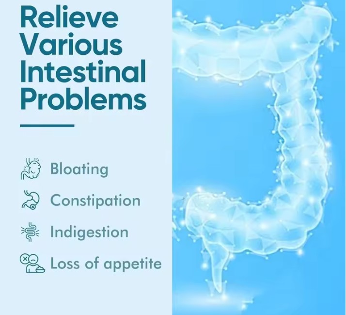 Akkermansia Probióticos 300 Billion AFR – 60 cápsulas 2