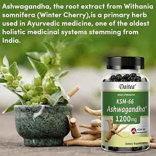 ✨🌿 Ashwagandha KSM-66 – Fuerza Extra para tu equilibrio diario - 30 capsulas 🌿✨