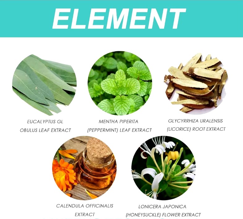 Spray de Limpieza de Pulmones a Base de Hierbas – 30 ml 4