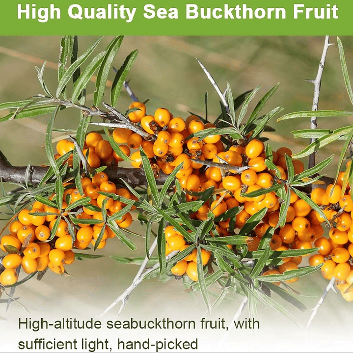 Omega 7,3,6,9 Aceite Espino Amarillo Cabello Piel Uñas Vision 60 capsulas 5