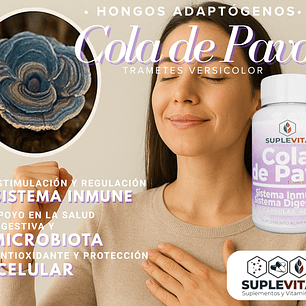 Cola de Pavo, Sistema inmune y Microbiota