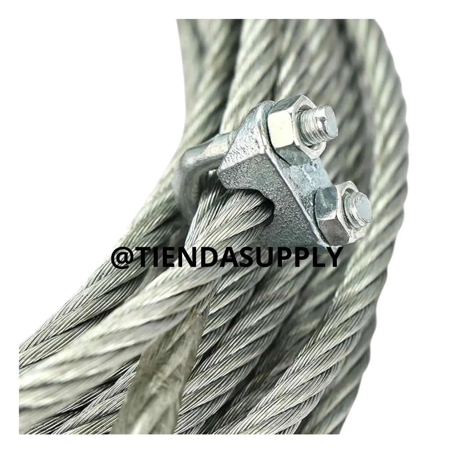 PERRO TIPO LIVIANO 2