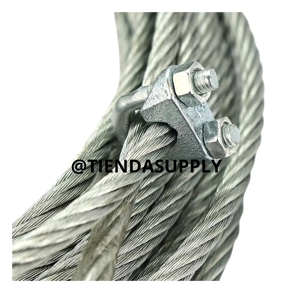 PERRO TIPO LIVIANO 2