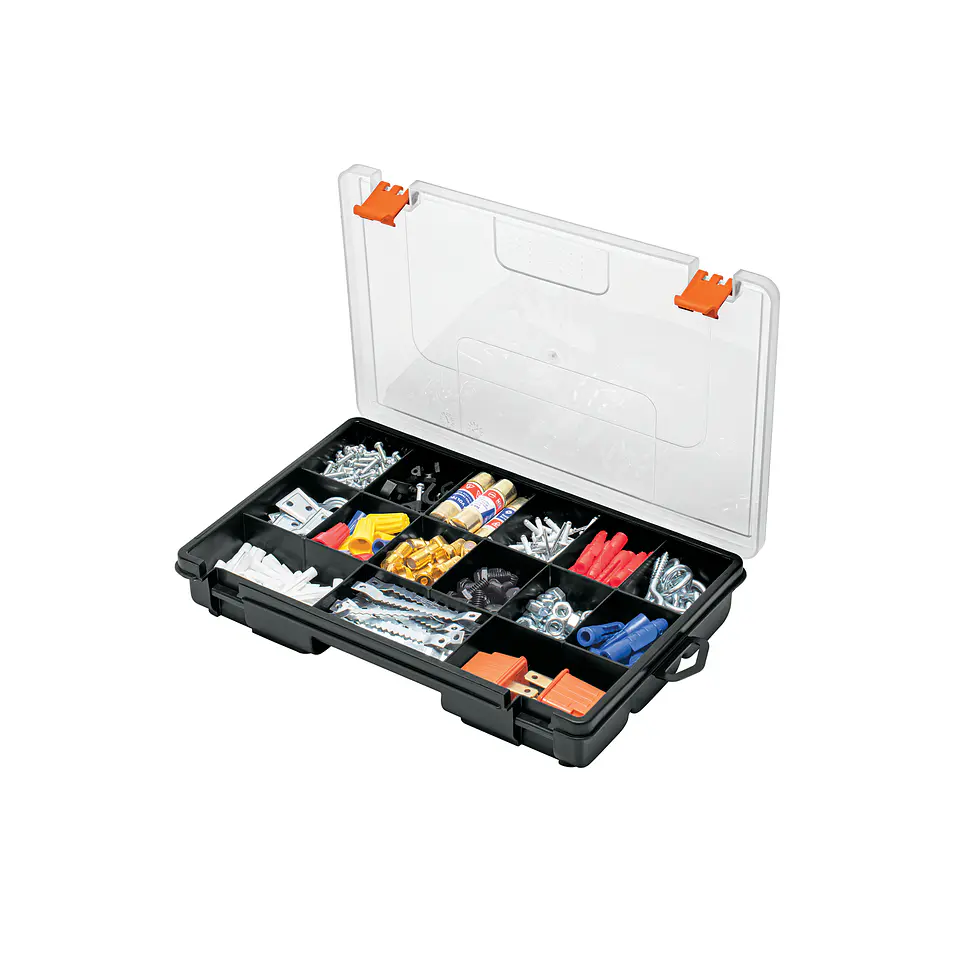 ORGANIZADOR 11