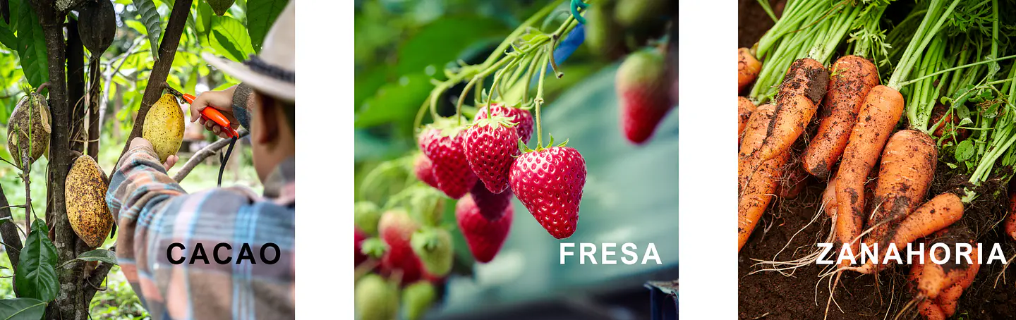 SISTEMAS DE RIEGO POR ASPERSION.