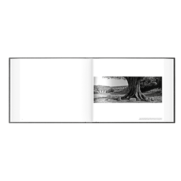 LIBRO: RUINS - JOSEF KOUDELKA (Inglés)