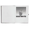 LIBRO: DES OISEAUX - GRACIELA ITURBIDE (Inglés)