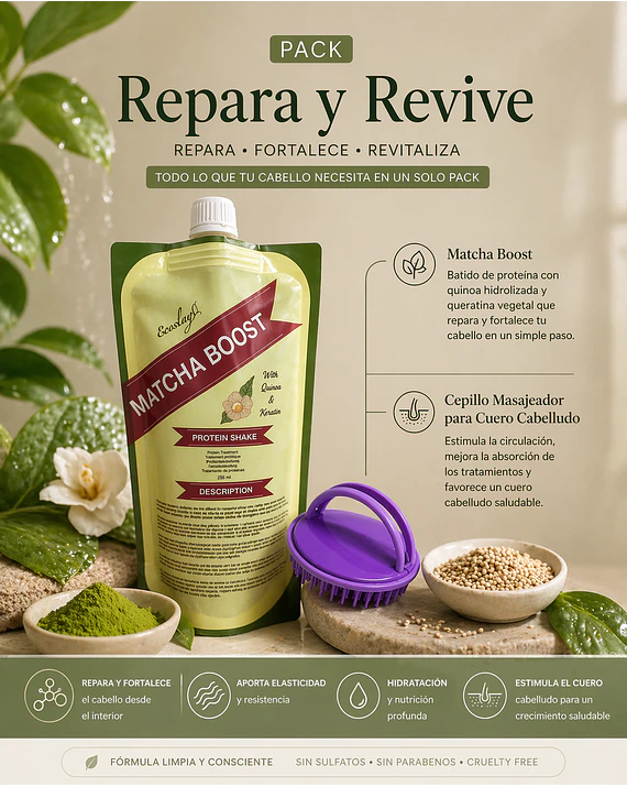 Pack Repara y Revive 1