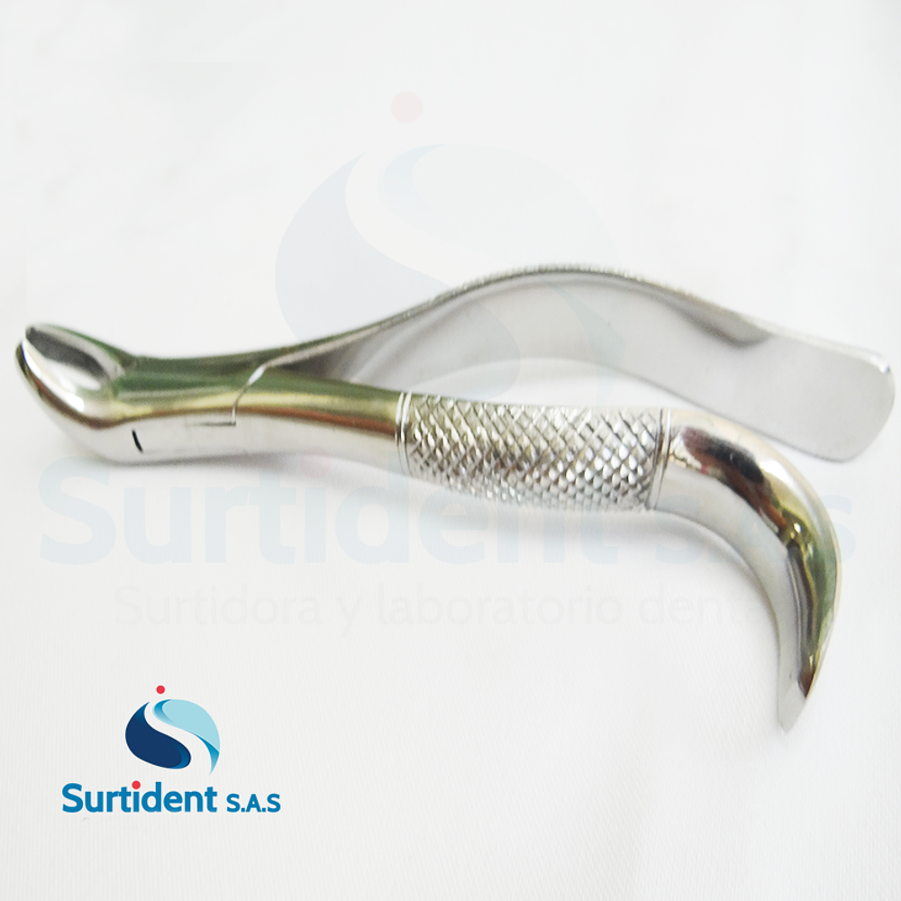 FORCEPS SUPERDENT