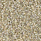 MIYUKI DELICA 11/0 OP SILVER GALVANIZA DURACOAT DB1831 X 10 GRAMOS  - Miniatura 1