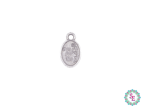 SAMAK PLATEADA DIJE 170 VIRGEN GUADALUPE 12MM  