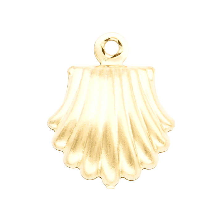 ACERO DORADO DIJE CONCHA 14MM  1