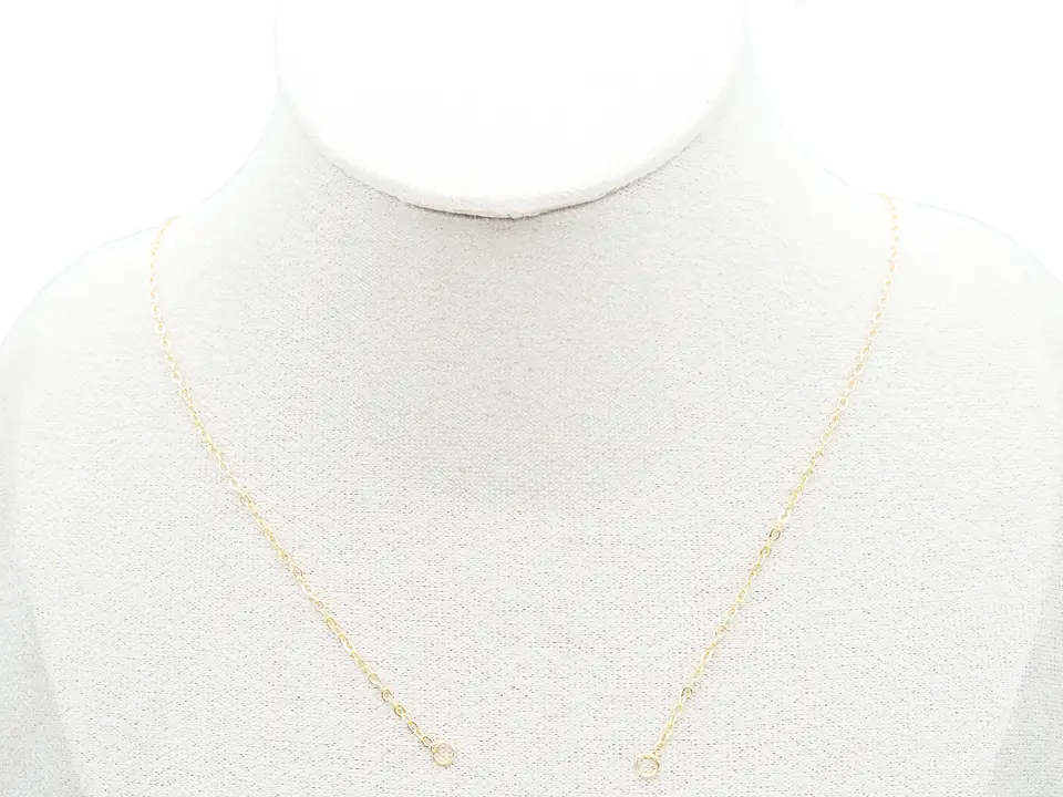 RODIO DORADO CADENA PARA DIJE 45CM CON EXTENSION 1