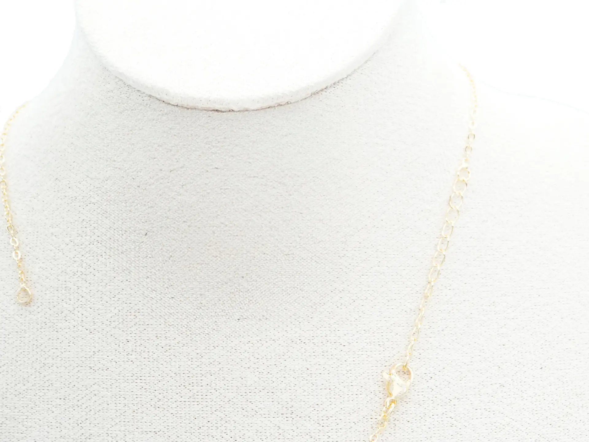 RODIO DORADO CADENA PARA DIJE 45CM CON EXTENSION 2