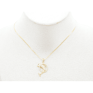 RODIO DORADO DIJE DELFIN CIRCULO ZIRCON 15*22MM