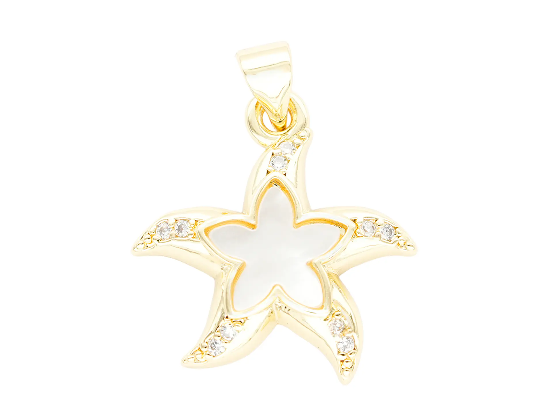 RODIO DORADO DIJE ESTRELLA NACAR ZIRCON 18*20MM 1