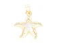 RODIO DORADO DIJE ESTRELLA NACAR ZIRCON 18*20MM - Miniatura 1