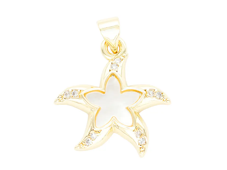 RODIO DORADO DIJE ESTRELLA NACAR ZIRCON 18*20MM 1