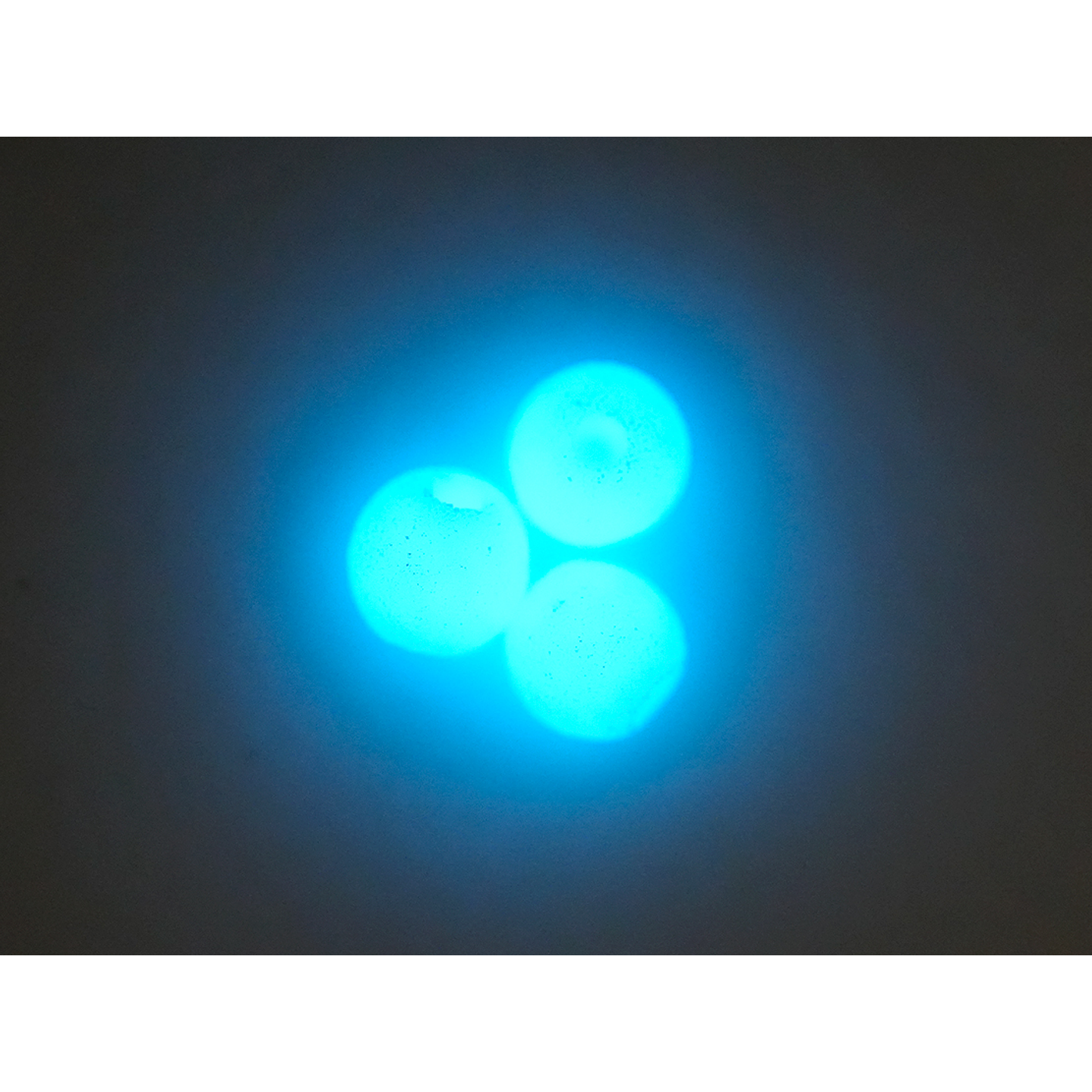 NEOPRENO LISO 6MM AZUL  LUMINOSO 1