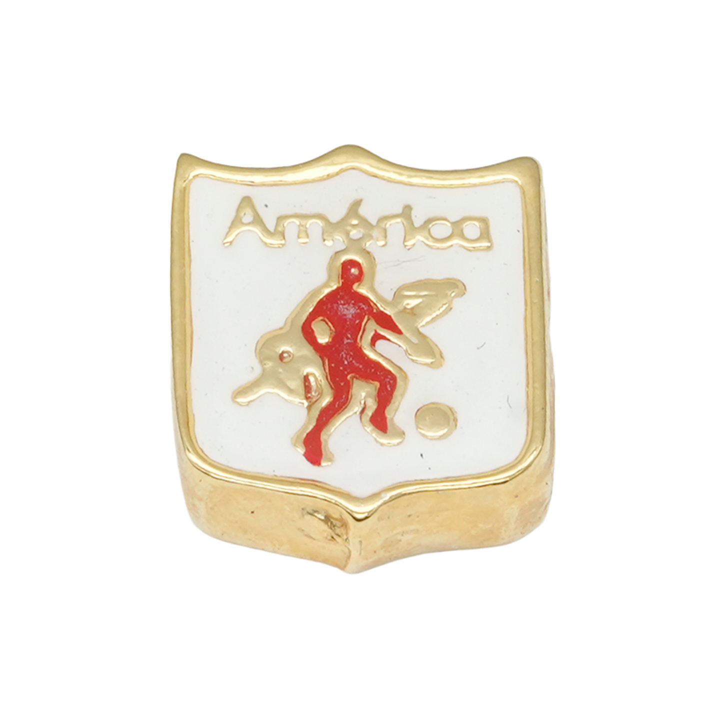 SAMAK DORADA CENTRO ESCUDO AMERICA DE CALI 1