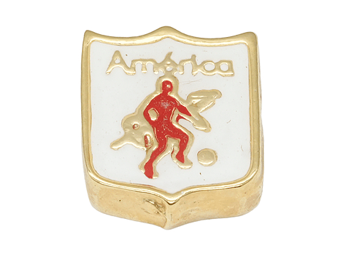 SAMAK DORADA CENTRO ESCUDO AMERICA DE CALI