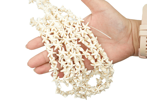 FOCIL ESTRELLA DE MAR BEIS 13*13*5M TIRA * 37PC