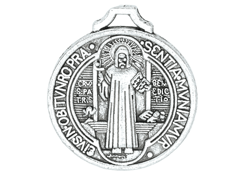 SAMAK PLATEADA DIJE SAN BENITO 22MM  202