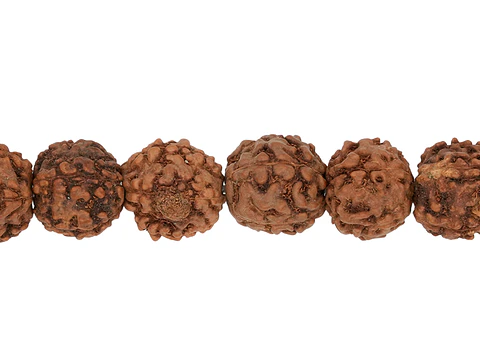 RUDRAKSCHA JAPA MALA # 10MM POR TIRA 110 UNIDADES APROXIMADAMENTE