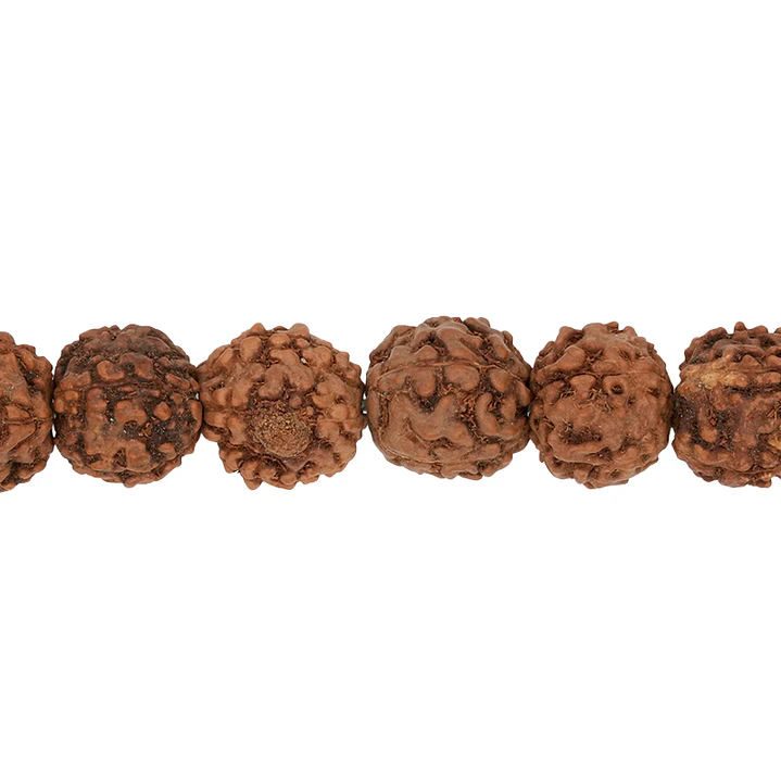 RUDRAKSCHA JAPA MALA # 10MM POR TIRA 110 UNIDADES APROXIMADAMENTE 1