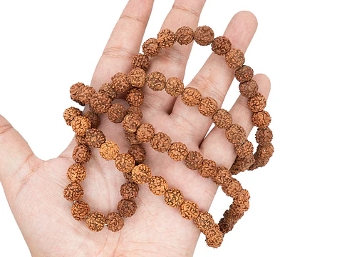RUDRAKSCHA JAPA MALA # 10MM POR TIRA 110 UNIDADES APROXIMADAMENTE