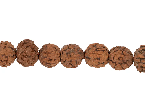 RUDRAKSCHA JAPA MALA # 8MM POR TIRA 110 UNIDADES APROXIMADAMENTE 