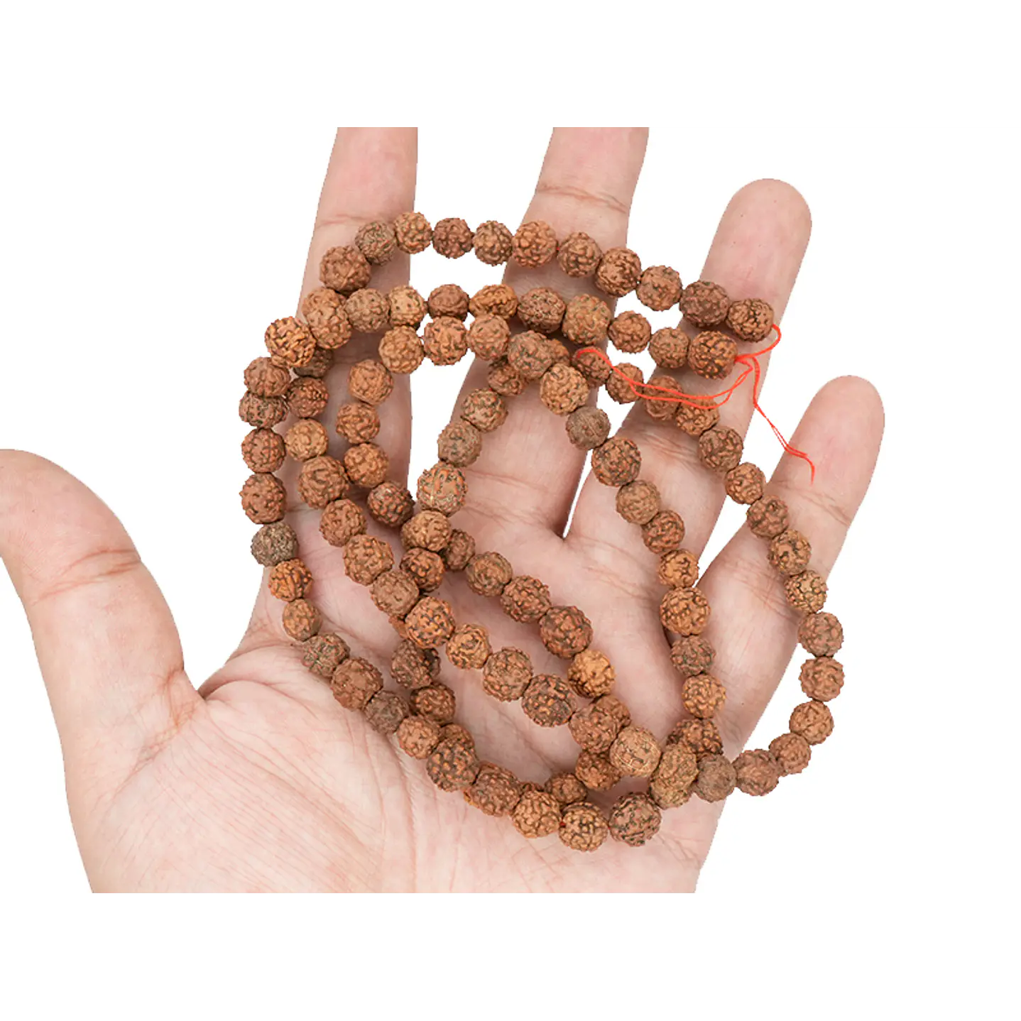 RUDRAKSCHA JAPA MALA # 8MM POR TIRA 110 UNIDADES APROXIMADAMENTE  2