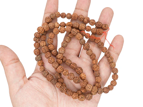 RUDRAKSCHA JAPA MALA # 8MM POR TIRA 110 UNIDADES APROXIMADAMENTE 