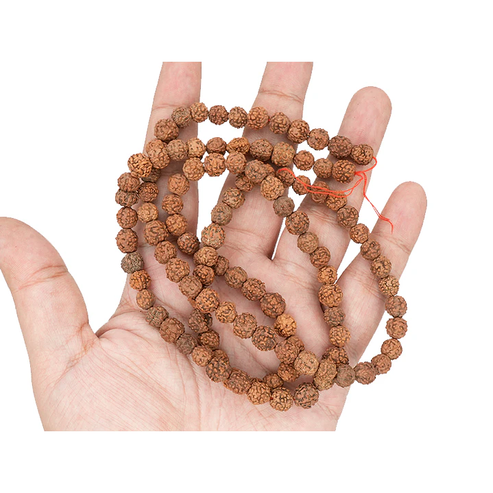 RUDRAKSCHA JAPA MALA # 8MM POR TIRA 110 UNIDADES APROXIMADAMENTE  2
